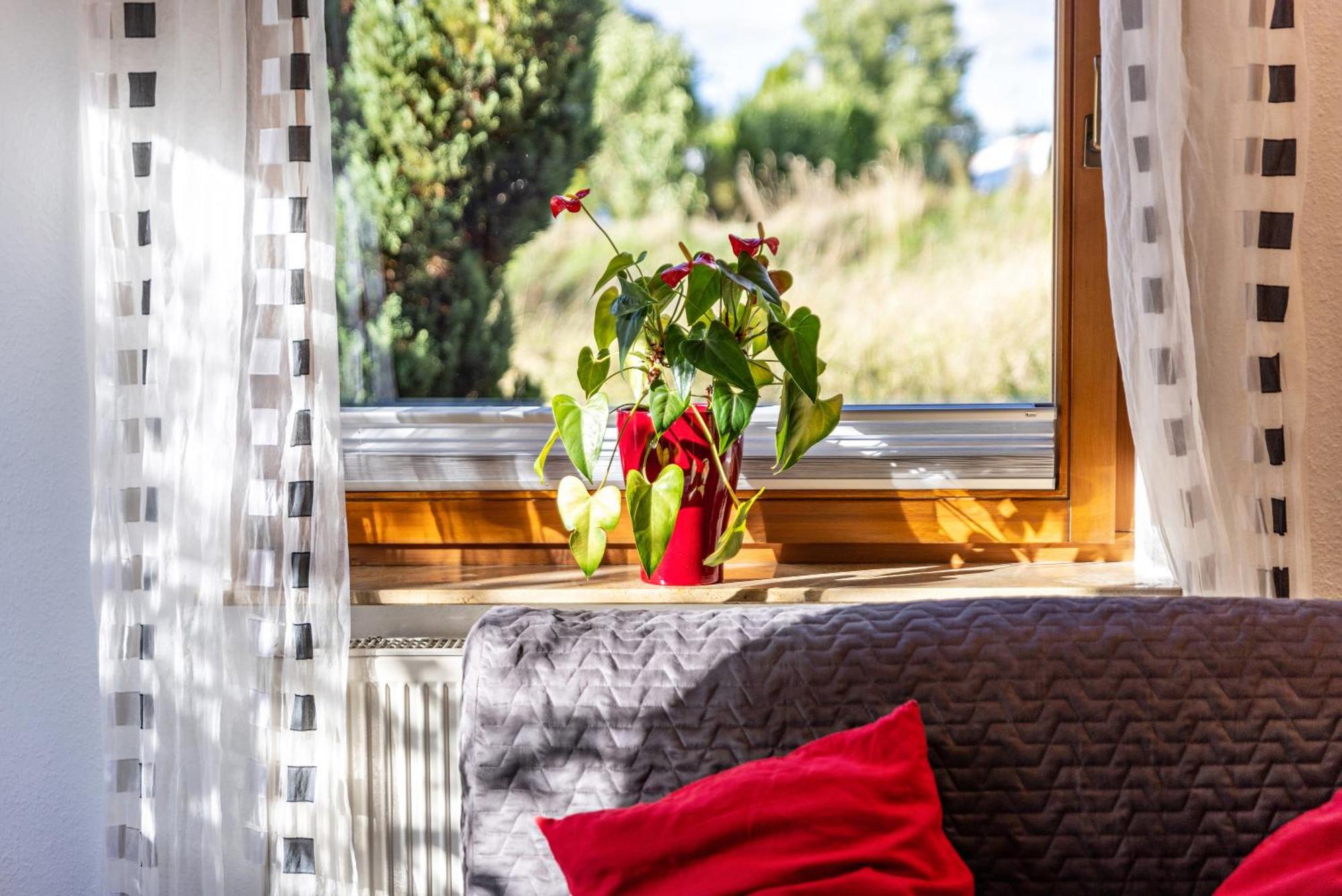 An Der Schwaebischen Alb Apartment Mossingen Bagian luar foto